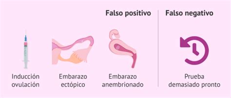 Laboratorio Unilab Diferencias Entre Prueba Hcg Cuantitativa Y Cualitativa ¿estás Embarazada