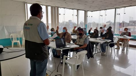 LOS OLIVOS 2 : PREDES