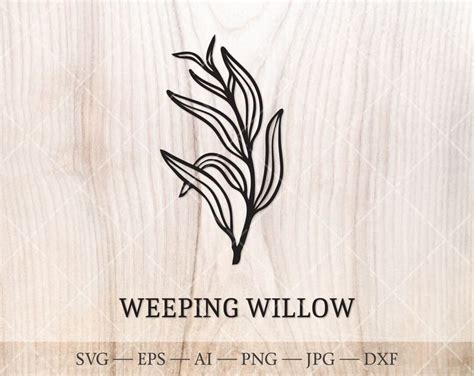 Weeping Willow Tree Svg Birth Trees Svg Birth Month Tree Outline Drawing Birthday Floral