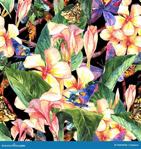 Modello Senza Cuciture Tropicale Con I Fiori Esotici Illustrazione Di