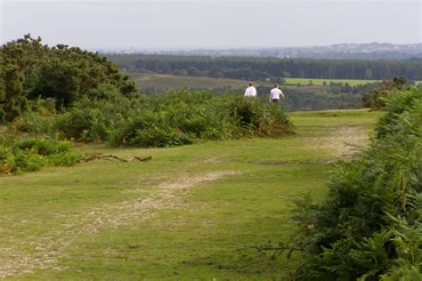 Smugglers Road Vales Moor New Forest Jim Champion Geograph