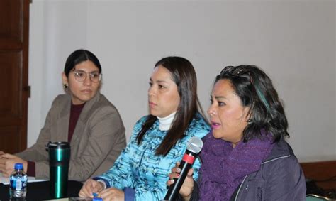 Morelia Secoem Y Seimujer Capacitan A Servidores P Blicos En