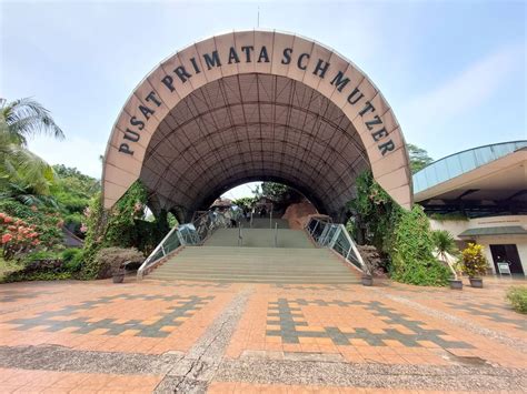 Ragunan Zoo Entrance Fee Opening Hours And More