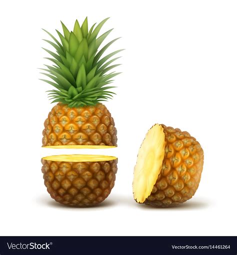 Sliced Pineapple Fruit Royalty Free Vector Image