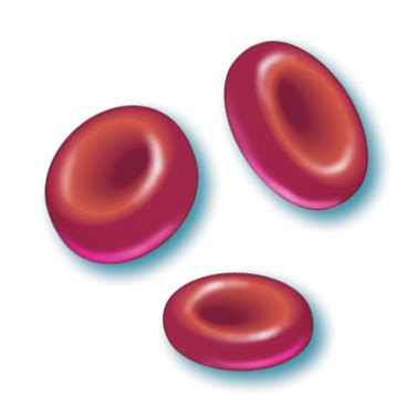 rbcs  johns hopkins patient guide  diabetes