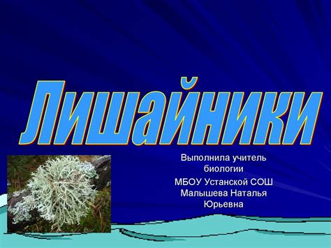 Лишайники - презентация онлайн