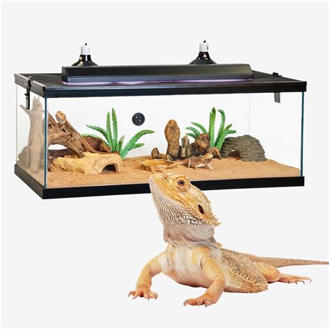 reptile tank wallpaper
