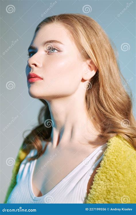 Blonde fille levrette photo stock Image du normal élégant