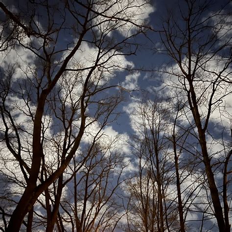 Небо в облаках | Пикабу