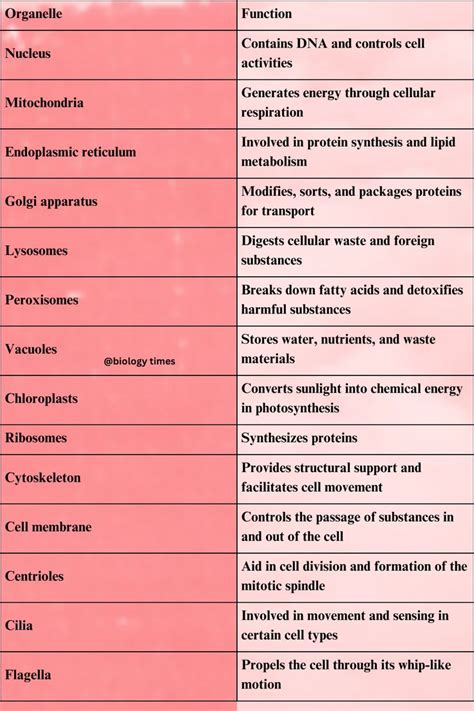 The Table Shows Different Types Of Cell Phones And Their Functions In