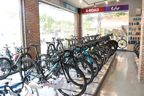 Chi tiết hơn 84 xe đạp thể thao cũ siêu hot daotaonec EU Vietnam Business Network EVBN