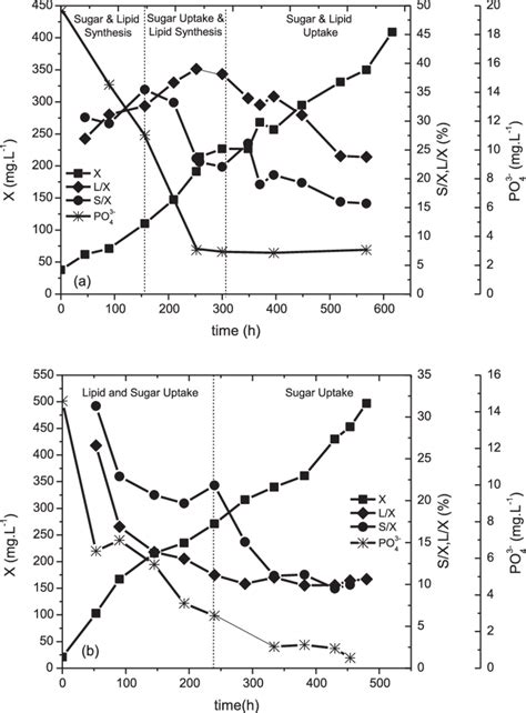 Kinetics Of Total Biomass X G L Lipid L And Sugar S Content