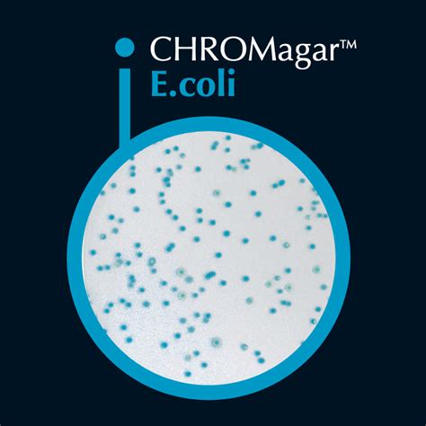chromagar ecoli labchem catalog
