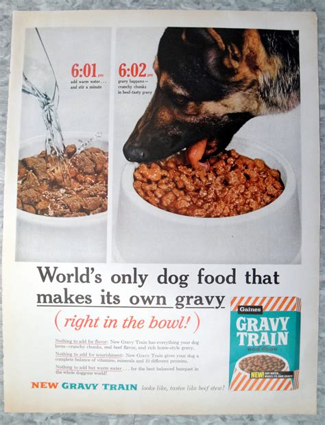 Is Gravy Train Dog Food Good For Your Dog