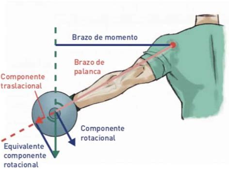 Brazo De Momento Y Ejercicio Una Gran Relación Mundo Entrenamiento