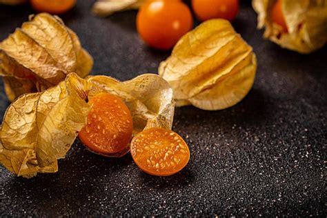 Physalis Peruviana Background Images HD Pictures And Wallpaper For