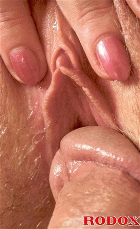 Vintage Nude Classic Leather Stud Screws Ordinary House XXX Dessert