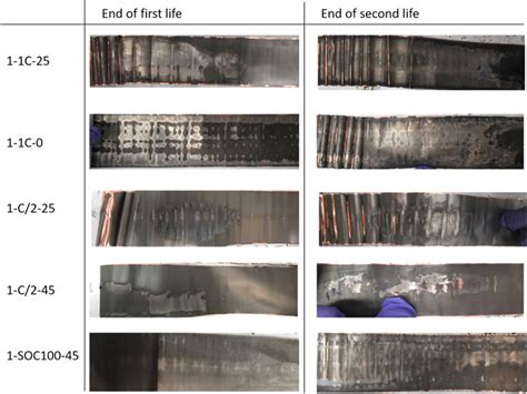 negative electrode pictures        lives