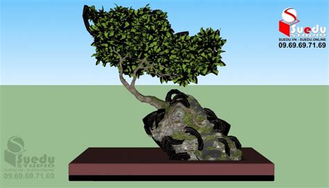 4702 Bonsai Tree Sketchup Model Free Download Sketchup Models For