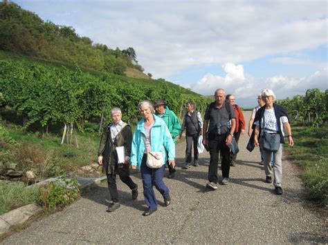 Bericht Der Monatswanderung Ensingen Schw Bischer Albverein