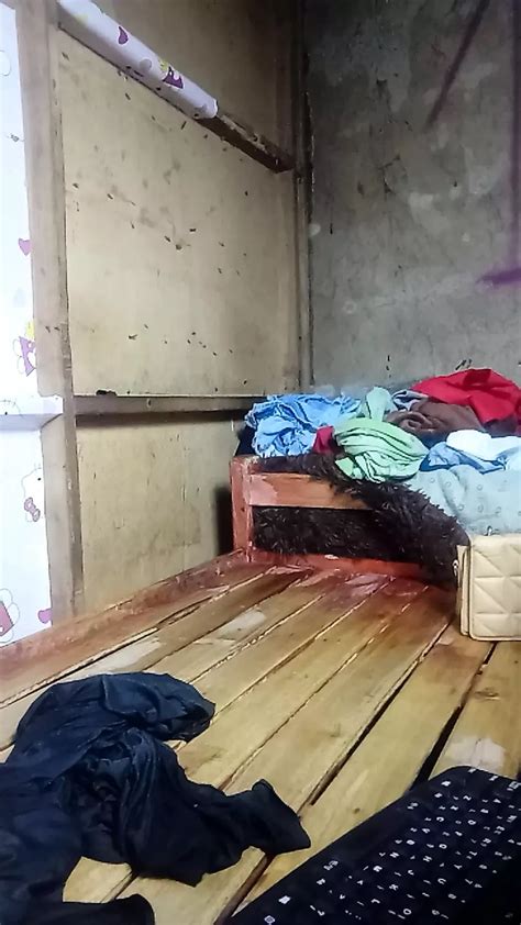 Free Shemale Masturbating Porn Videos XHamster