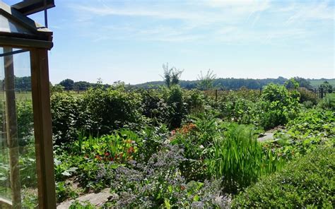 Comment préparer le sol en permaculture Tuto Jardinage