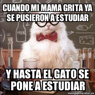 Meme Chemistry Cat CUANDO MI MAMA GRITA YA SE PUSIERON A ESTUDIAR Y