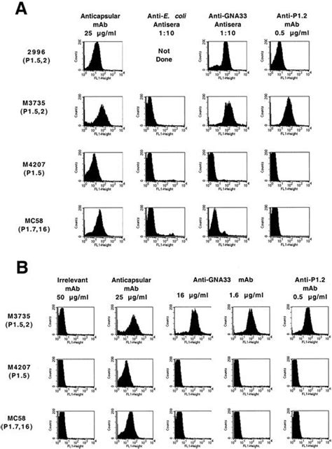 A Novel Mimetic Antigen Eliciting Protective Antibody To Neisseria