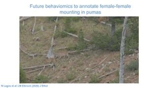 Big Behaviour Leveraging Deep Learning For Behaviomics Possible Applications In Same Sex