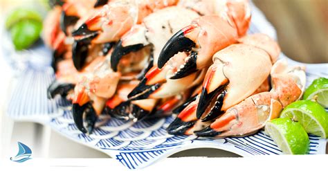 Stone Crab Season In The Florida Keys