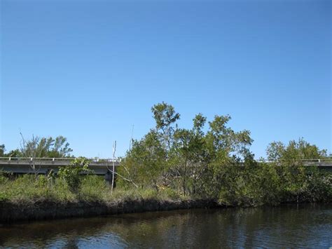 Whitewater Bay Backcountry Boat Tour, Everglades National Park, Florida