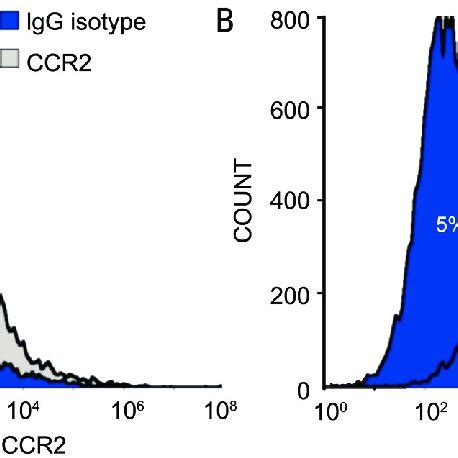 ccr  cxcr expression  macrophages cultured cells  collected