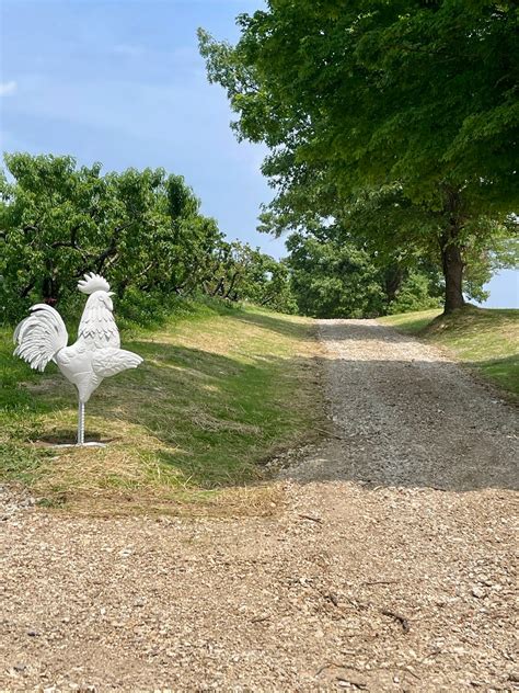 Family-Oriented Funeral Services at Rendleman & Hileman 6