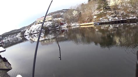 Рыбалка на форель зимой, бомбарда - YouTube