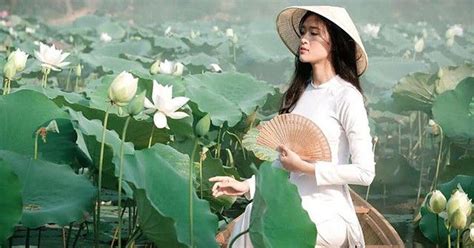 Xu T Hi N Hot Girl Cao M Th Ch M C O D I K N O C D O N L Hoa H U Vi T Nam T Ng Lai