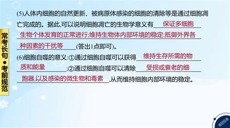 高考生物二轮复习小专题4 细胞的生命历程共85张ppt 21世纪教育网