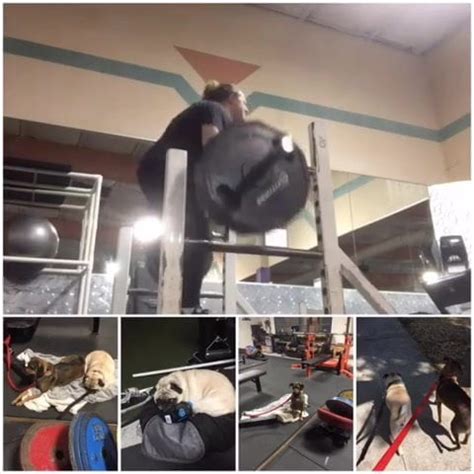 Ladybug FBB Muscular Woman Porn XHamster