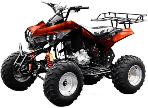 Quad kaufen - Test & Vergleich » Top 13 im Juni 2025