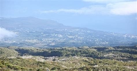 Les routes forestières du Maïdo et des Tamarins rouvertes