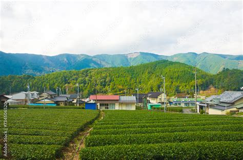 Foto De Fresh Green Tea Farm In Spring Row Of Tea Plantations