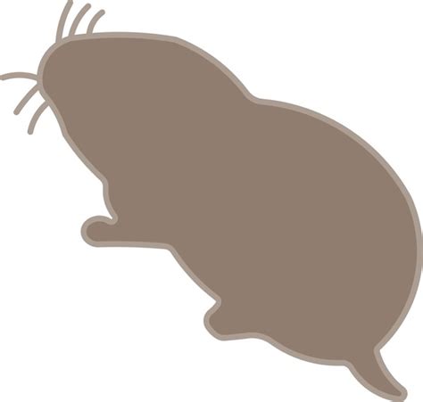 10 Asian Forest Naked Stock Vectors And Vector Art Shutterstock