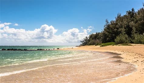 Kanaha Beach Park in Maui - Hawaiian Planner