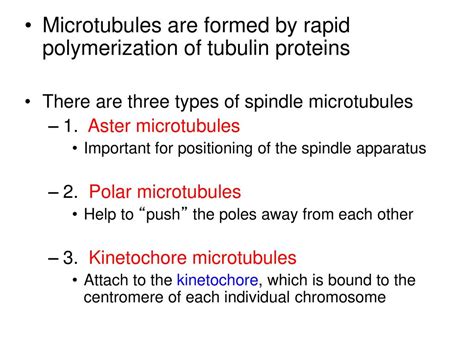 Chromosome Transmission During Cell Division And Sexual Reproduction