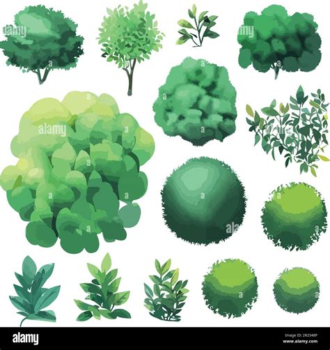 Fantastical trees bushes shrubs top view vector Stock Vector Image & Art - Alamy