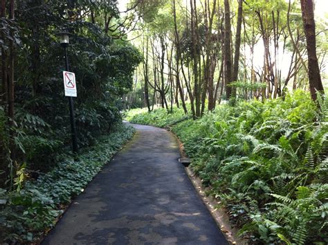 Singapore Run. Can.: Southern Ridges Trail - 6.5km