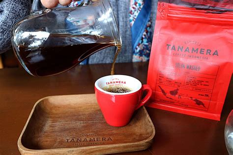 Kangen Cita Rasa Kopi Khas Nusantara Ke Tanamera Coffee Aja