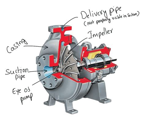 calculate minimum starting speed  centrifugal pump