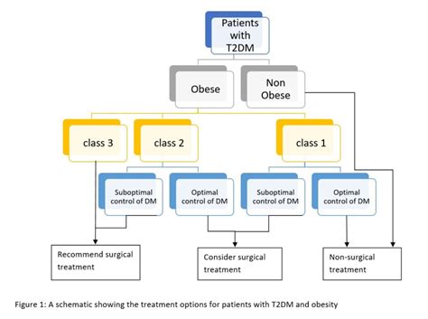 Diabetes Mellitus Treatment Options Ask The Nurse Expert