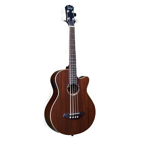 Download Acoustic Electric Bass Png 37 | Wallpapers.com