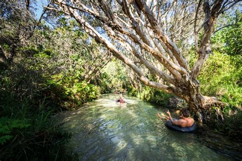 K Gari Fraser Island Day Itinerary Fraser Tours